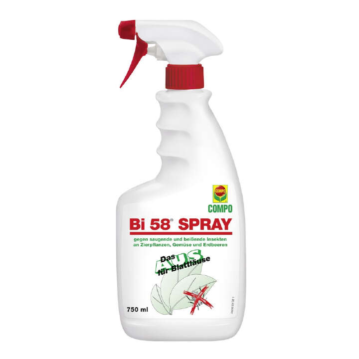 COMPO Bi 58 Spray (gegen Blattläuse und andere Insekten)